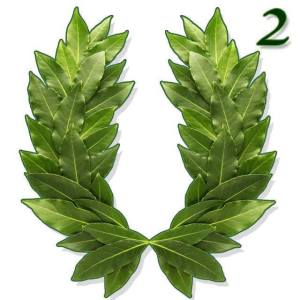 a laurel wreath with a squared symbol